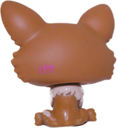 #3567 Corgi